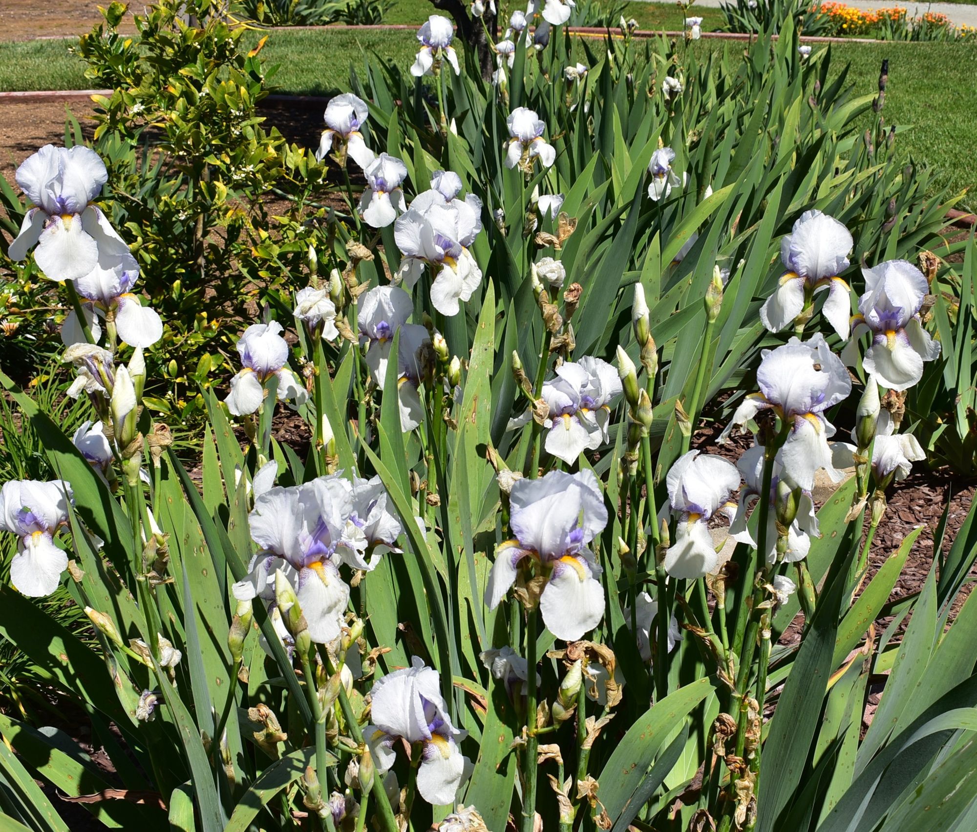 Winter to summer in 3 short days!