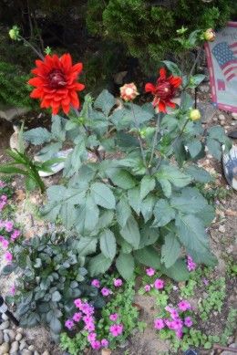 Log Cabins and Hearts
